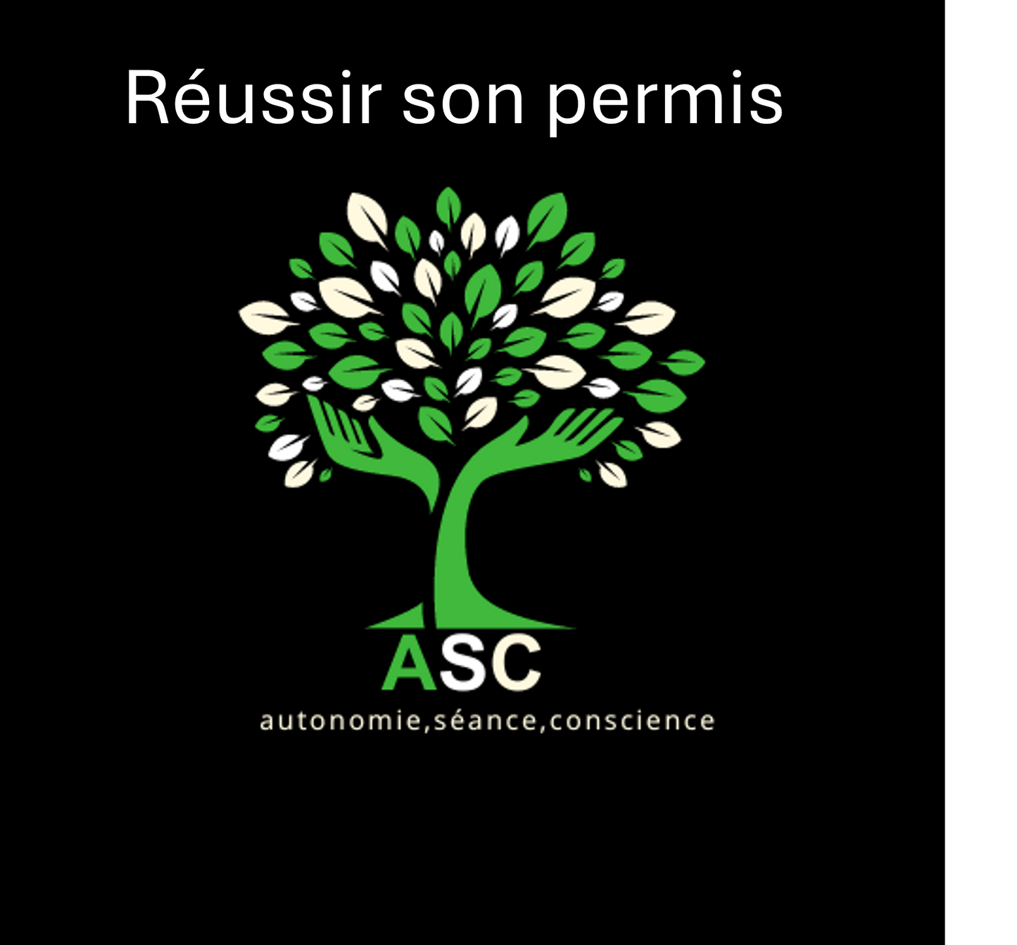 Réussir son permis